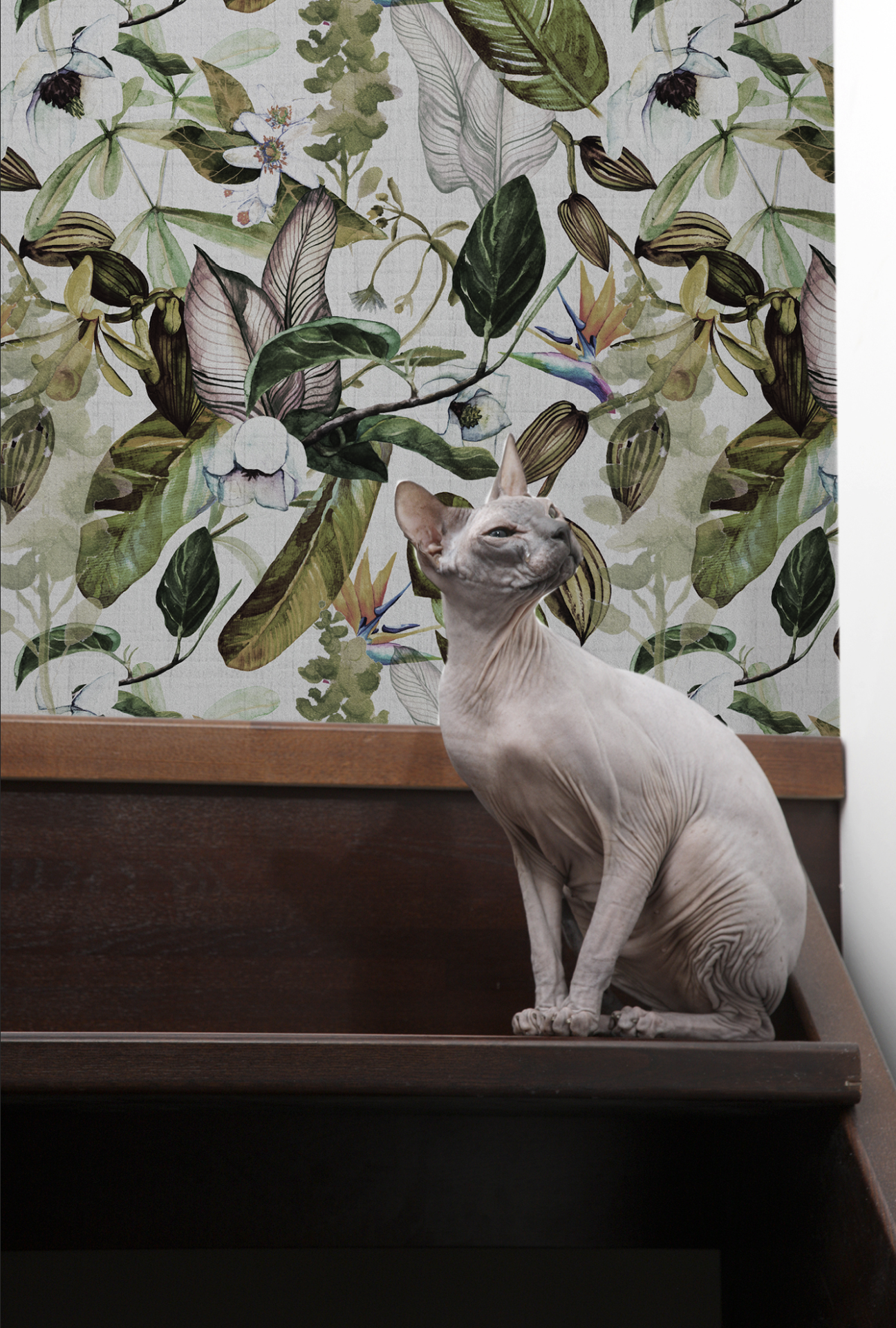 Cat One - Wallcovering Design Tapete