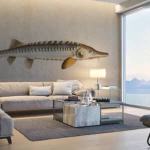 Kleine Fischkunde